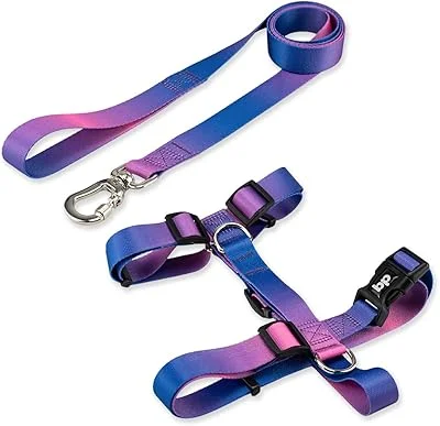 Basic Pet Coleira Peitoral Com Guia Para Cachorro Cães Modelo Tradicional H Tamanho Porte Grande Médio Pequeno (M, Lily)
