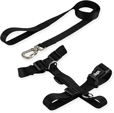 Basic Pet Coleira Peitoral Com Guia Para Cachorro Cães Modelo Tradicional H Tamanho Porte Grande Médio Pequeno (M, Preto)