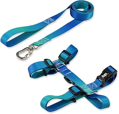 Basic Pet Coleira Peitoral Com Guia Para Cachorro Cães Modelo Tradicional H Tamanho Porte Grande Médio Pequeno (G, Lake)