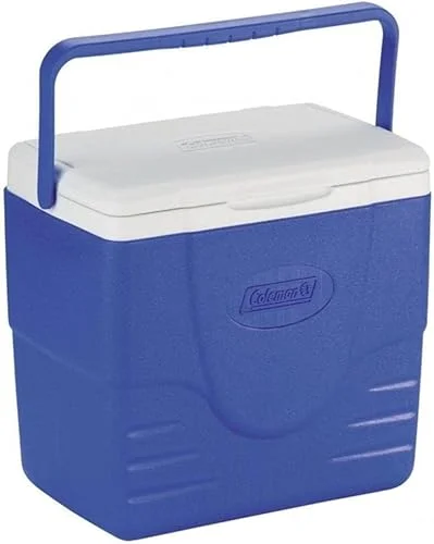 Melhores Coolers Térmicos 2026: Caixas Térmicas para Praia e Camping