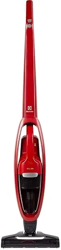 Electrolux Ergorapido ERG36