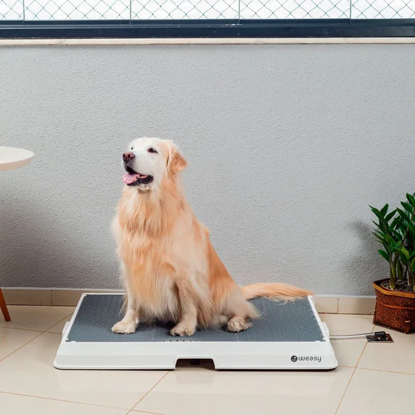 Weasy Cão G Banheiro Inteligente para Cachorro Grande