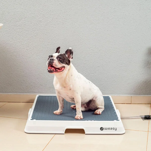 Weasy Cão M Banheiro Inteligente para Cachorro Médio