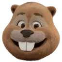 Castor