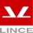 Lince