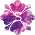 Soneda