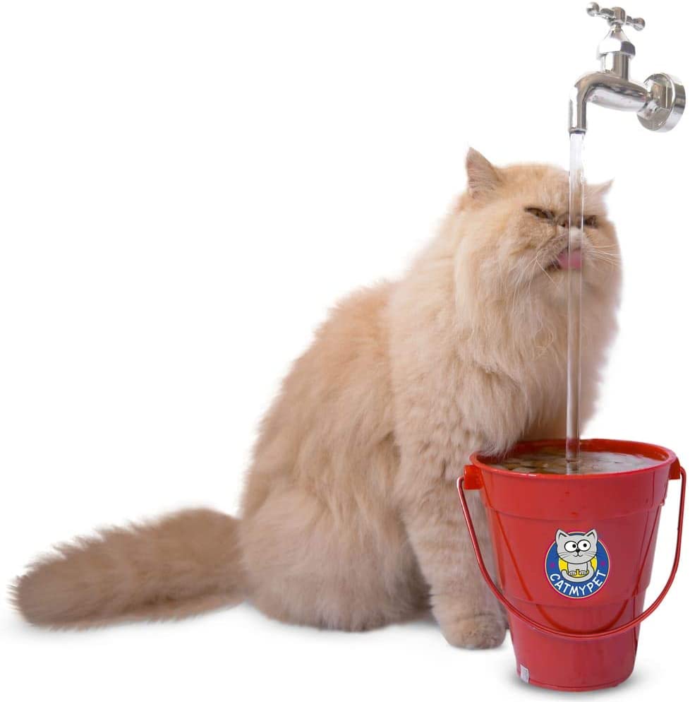Bebedouro para Gatos – MagiCat Vermelho BIVOLT