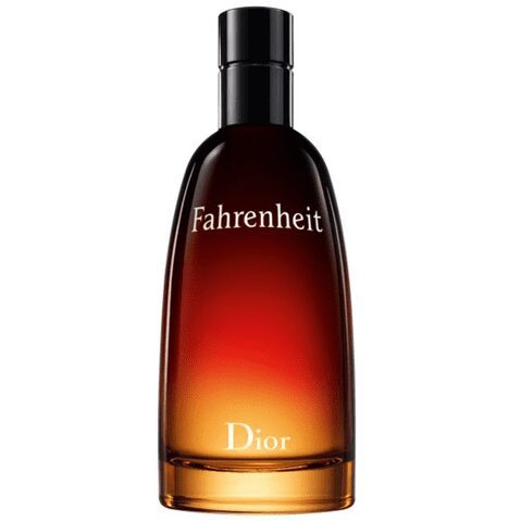 Fahrenheit Dior Eau de Toilette – Perfume Masculino 100ml