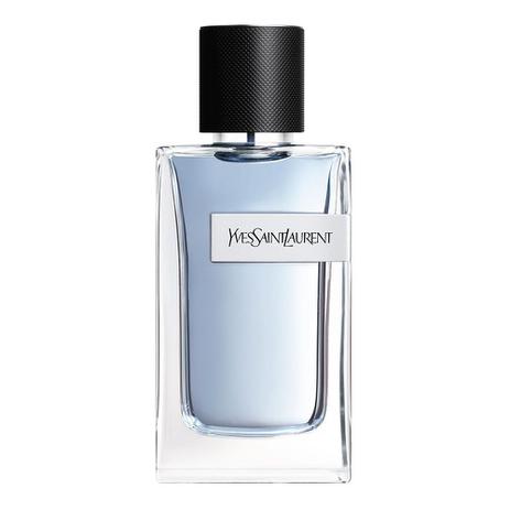 Y Yves Saint Laurent Perfume Masculino EDT