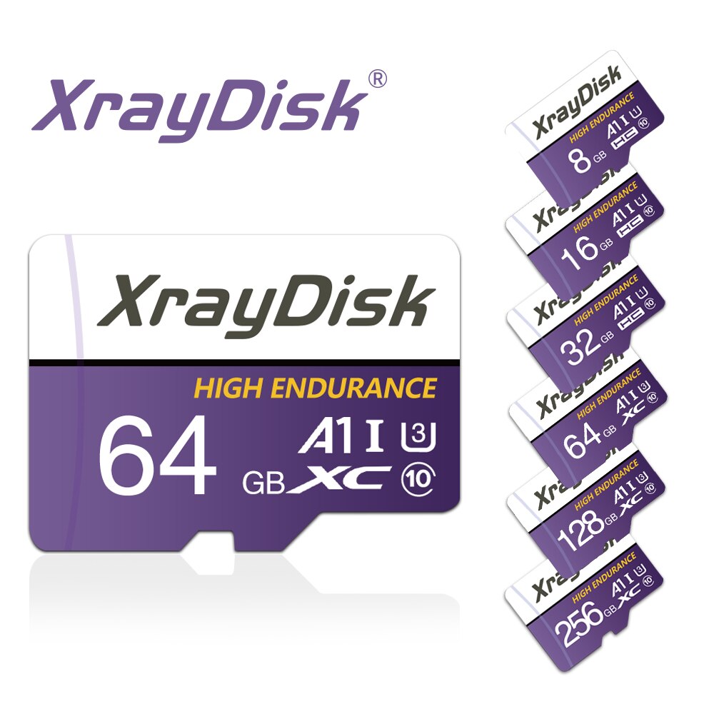 Micro SD 256GB – XrayDisk