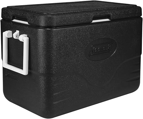 Melhores Coolers Térmicos 2026: Caixas Térmicas para Praia e Camping